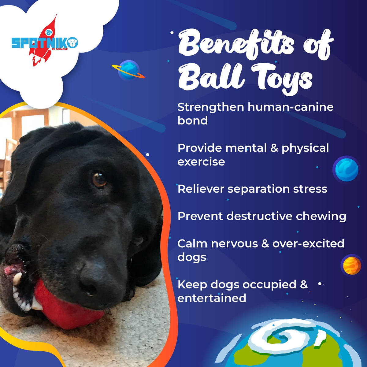 Asteroid Ultra-Durable Rubber Dog Chew & Fetch Toy
