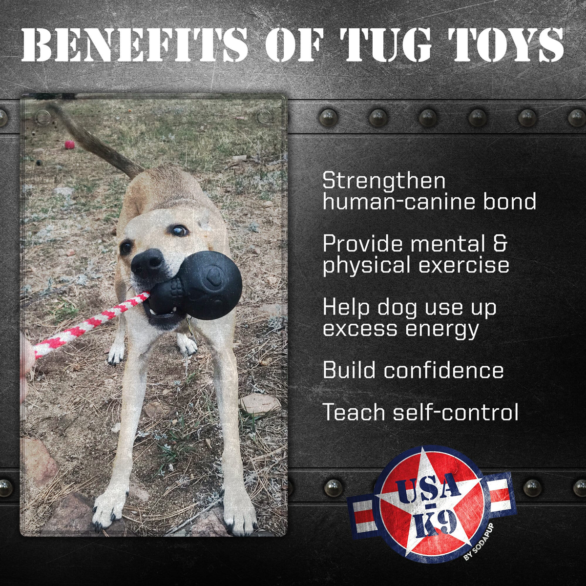 USA-K9 Magnum Skull Rubber Dog Chew Toy for Extreme Chewers