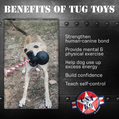 USA-K9 Magnum Skull Rubber Dog Chew Toy for Extreme Chewers