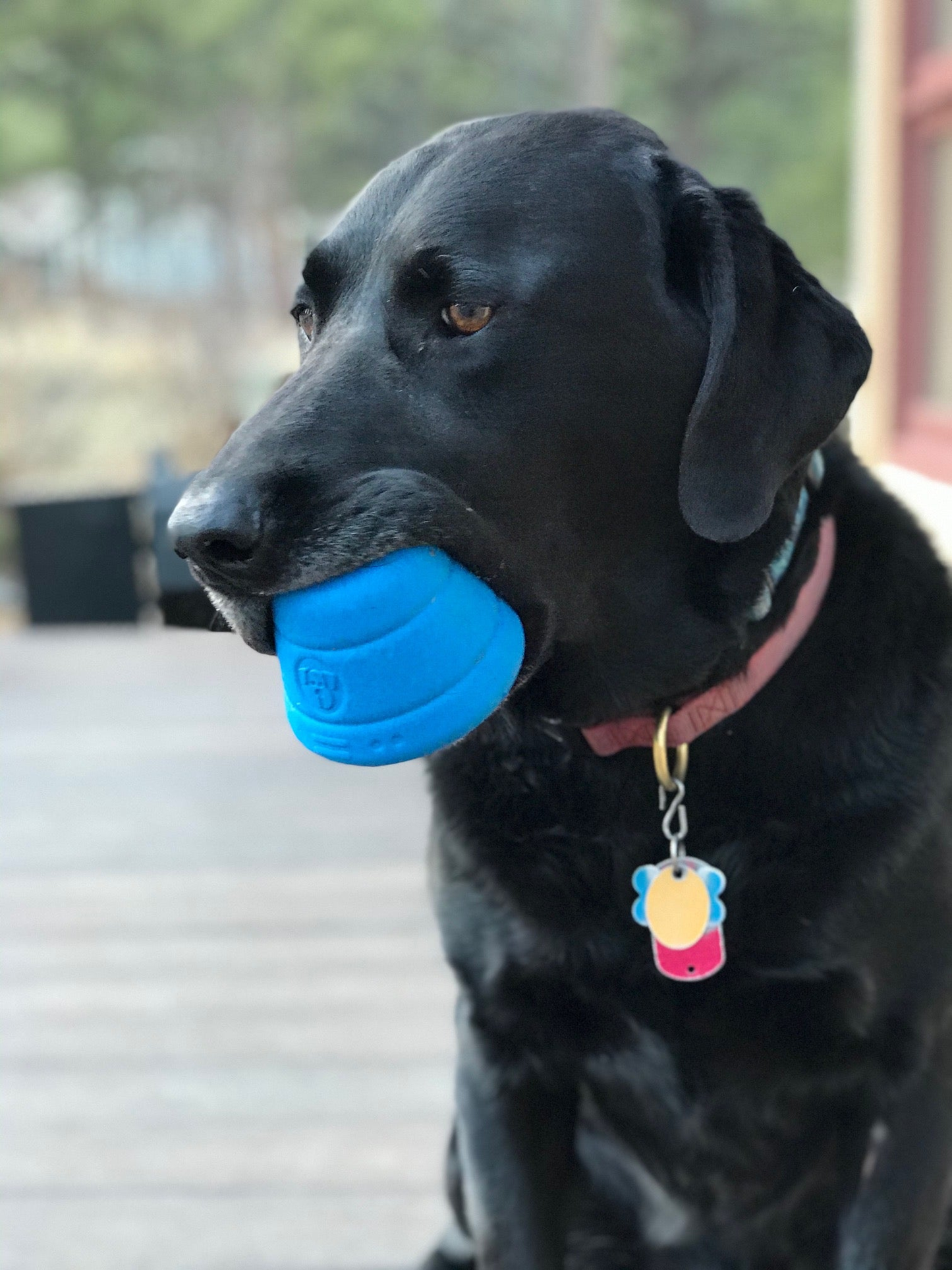Space Capsule Dog Chew Toy & Treat Dispenser