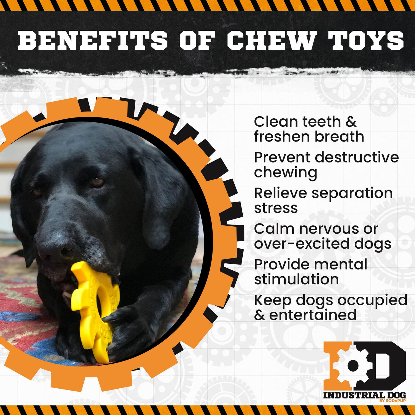 Circular Saw Blade Nylon Dog Chew Toy