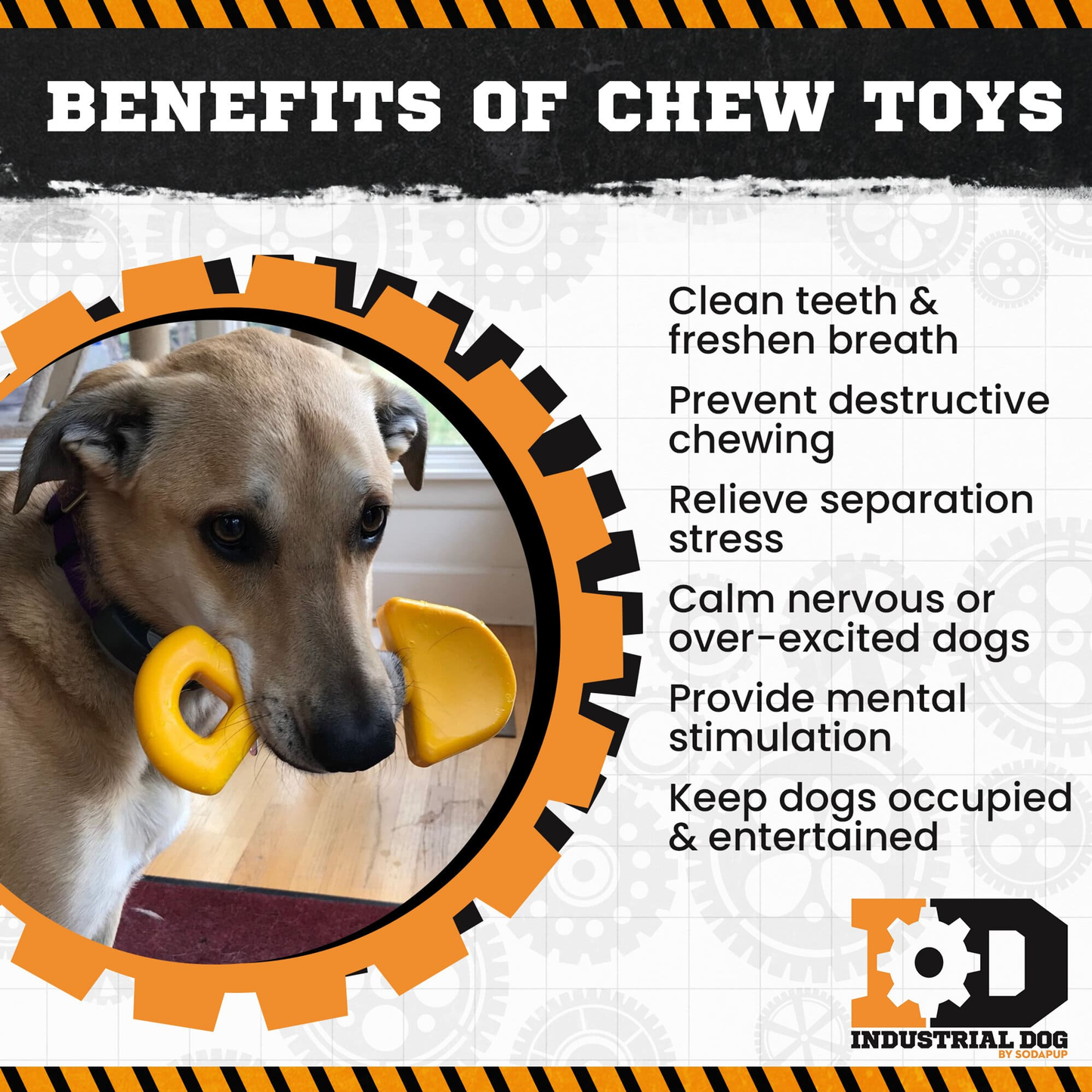 Shovel Ultra-Durable Nylon Dog Chew Toy