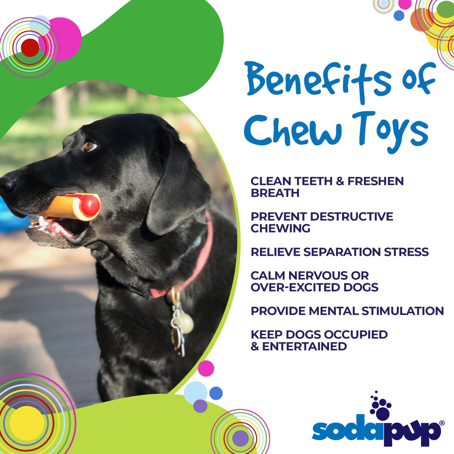 SodaPup Hot Dog Nylon Chew Toy for Aggressive Chewers