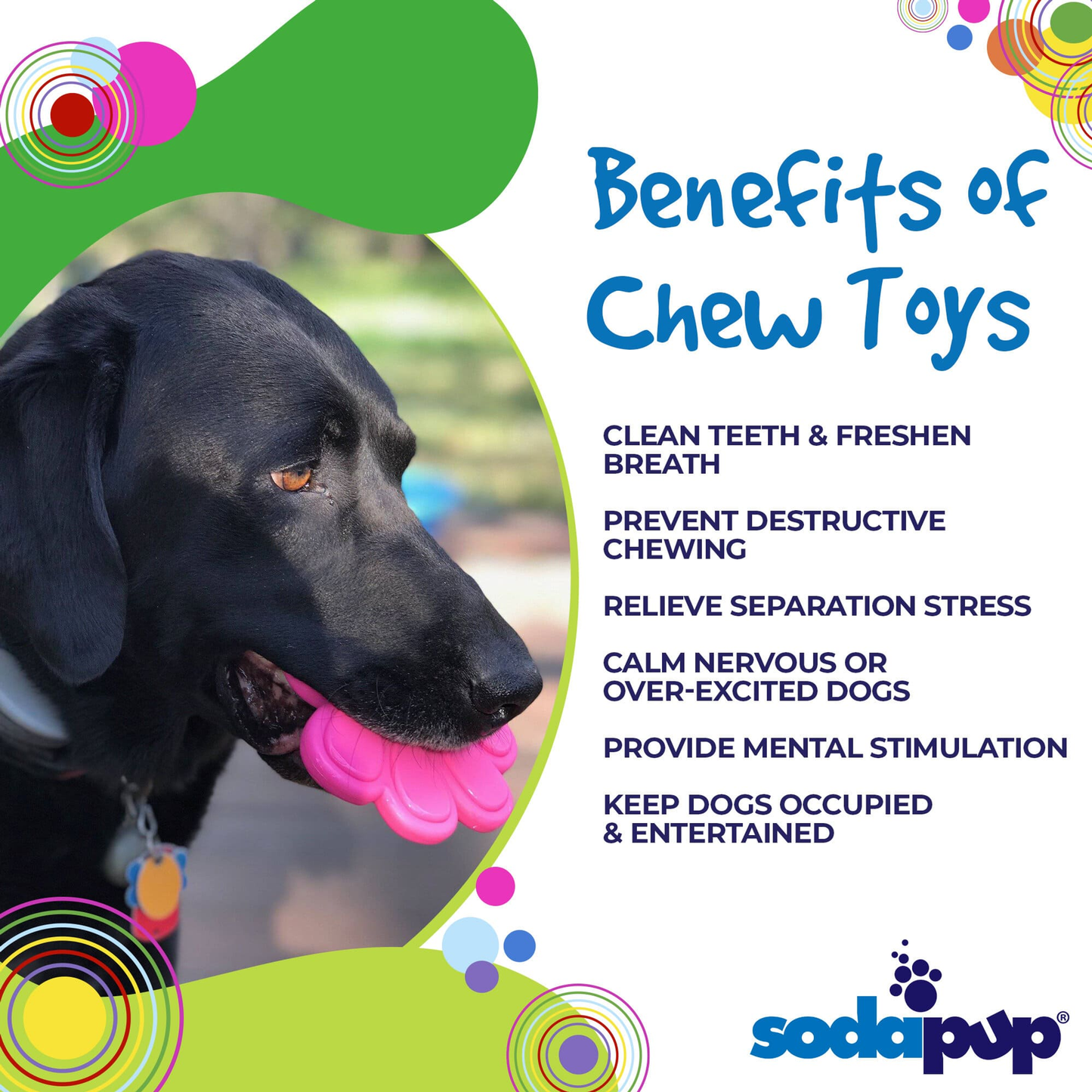 SodaPup Paw Print Nylon Dog Chew Toy for Aggressive Chewers
