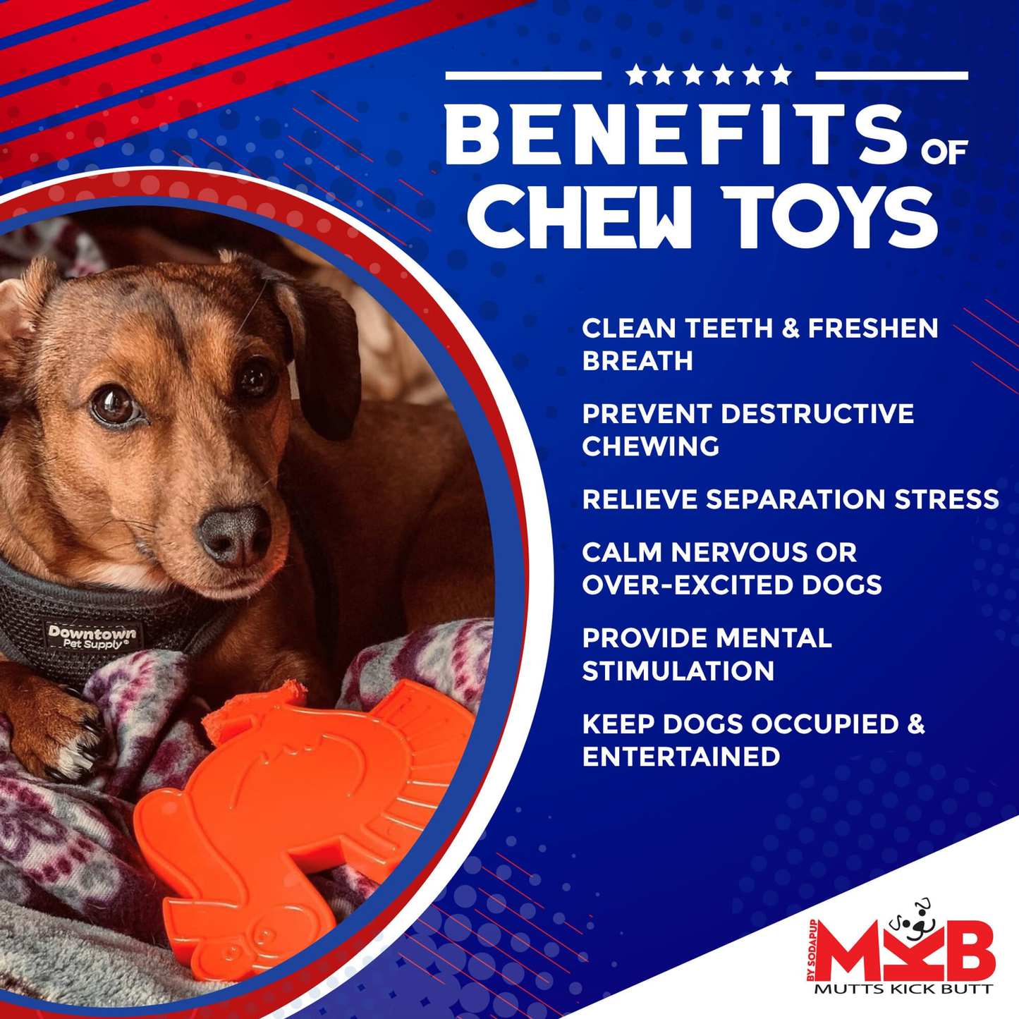 Turkey Nylon Dog Chew Toy for Aggressive Chewers
