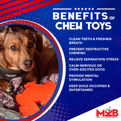 Turkey Nylon Dog Chew Toy for Aggressive Chewers