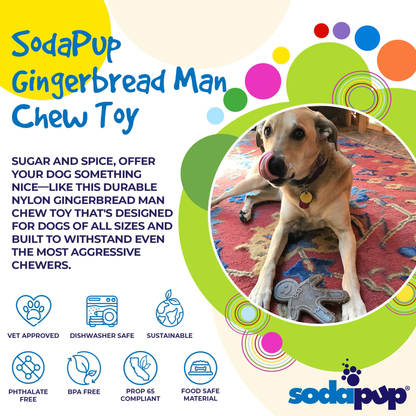 Gingerbread Man Nylon Dog Chew Toy for Aggressive Chewers