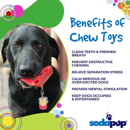 Cherry Pie Nylon Dog Chew Toy for Aggressive Chewers
