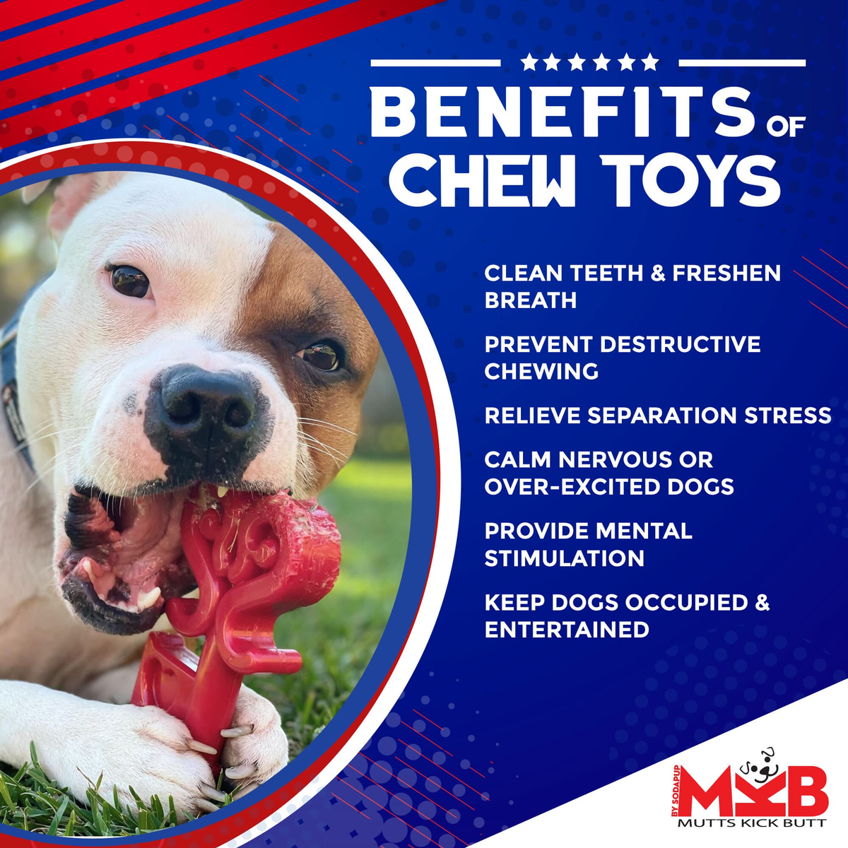 Key to My Heart Nylon Dog Chew Toy
