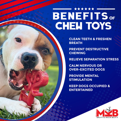 Key to My Heart Nylon Dog Chew Toy