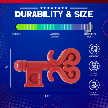 Key to My Heart Nylon Dog Chew Toy