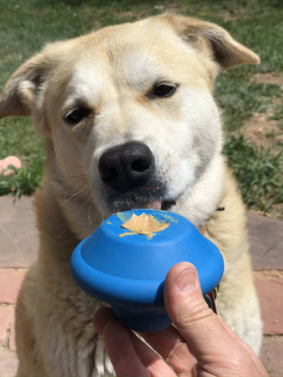 Flying Saucer Durable Rubber Dog Chew Toy & Treat Dispenser