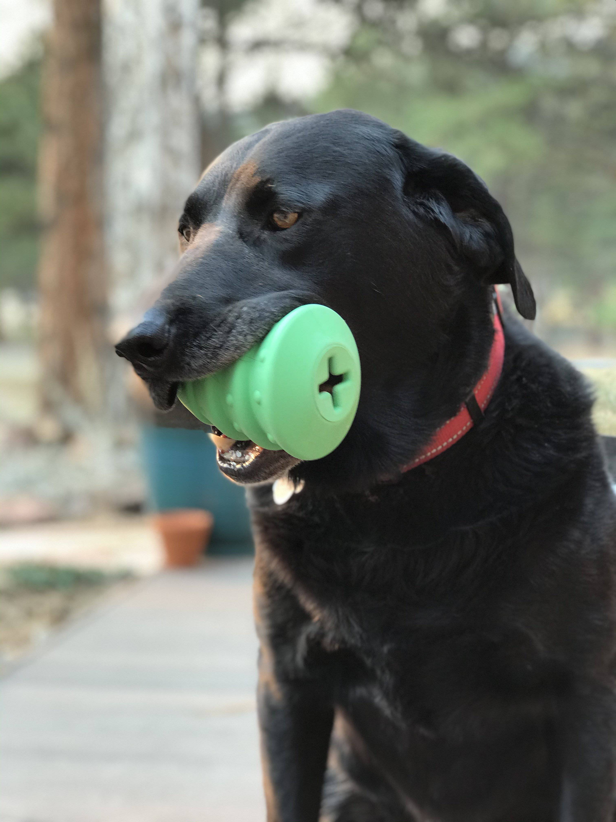 Christmas Tree Rubber Dog Chew Toy & Treat Dispenser