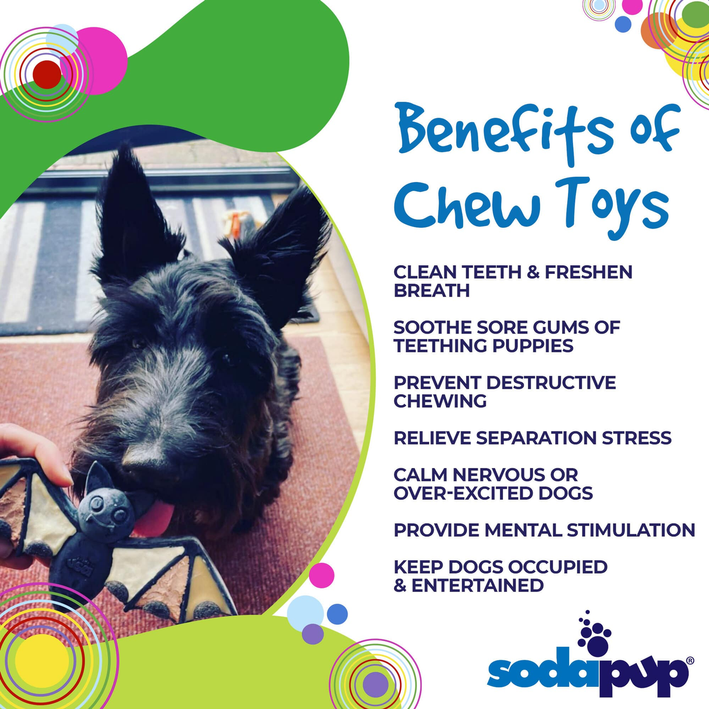 Vampire Bat Nylon Dog Chew Toy for Aggressive Chewers