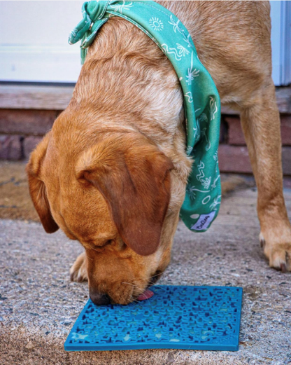 SodaPup eMat Lick Mat Bundle - Large Blue Jigsaw & Yellow Honeycomb