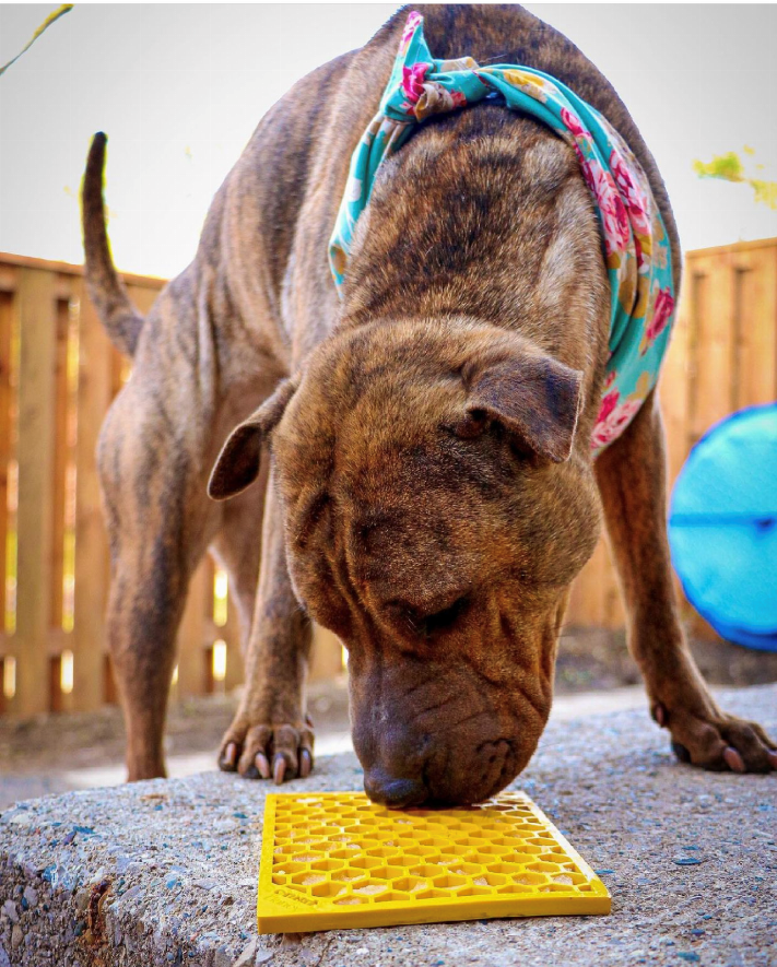 SodaPup Small eMat Lick Mat Bundle - Pink Flower Power & Yellow Honeycomb