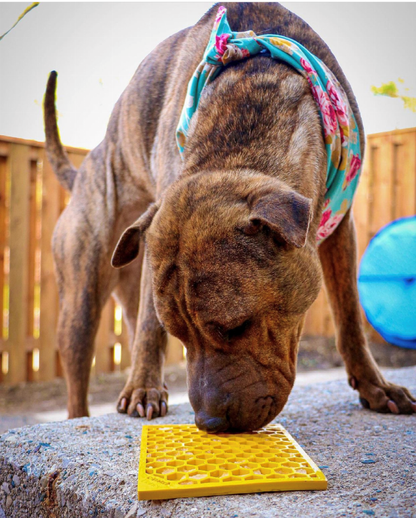 SodaPup Small eMat Lick Mat Bundle - Pink Flower Power & Yellow Honeycomb