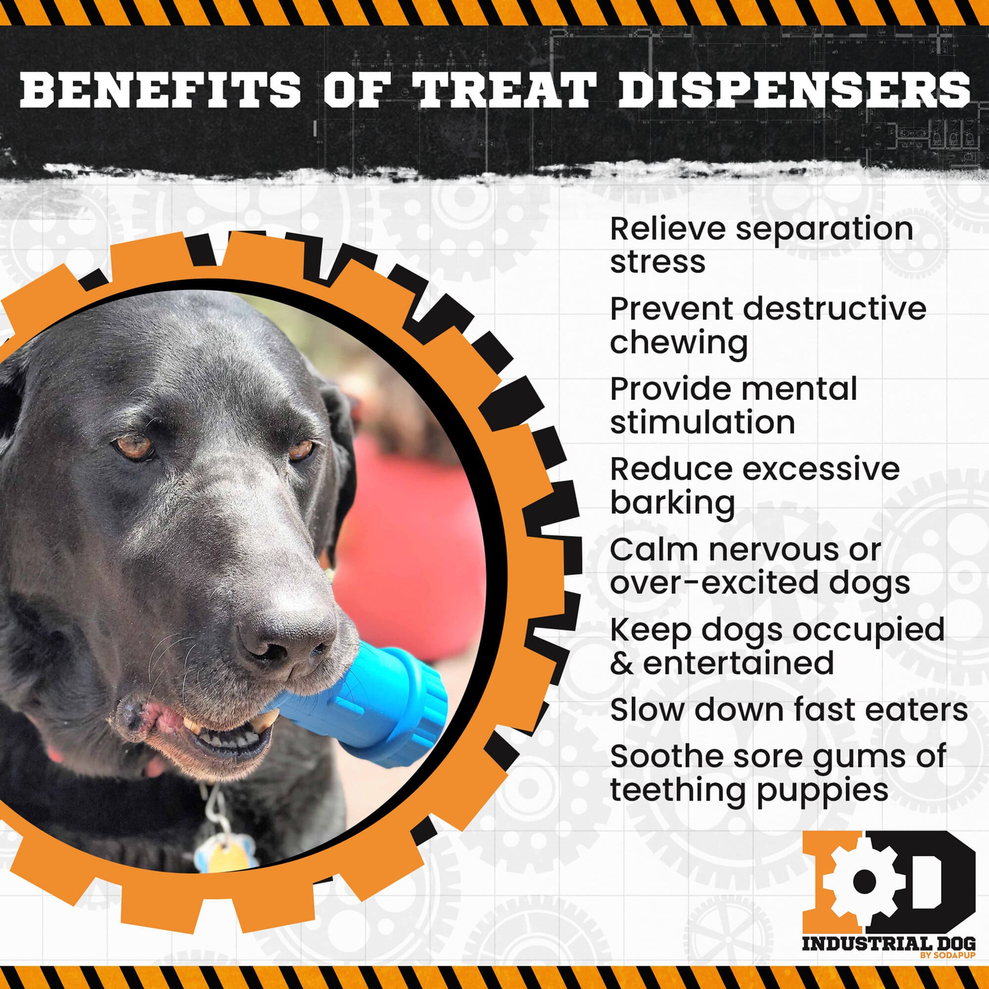 SodaPup ID Bone Rubber Chew Toy & Treat Dispenser