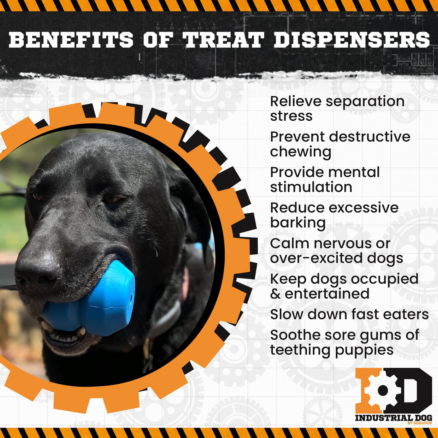 SodaPup Double Trouble Dual-Chamber Treat Dispenser