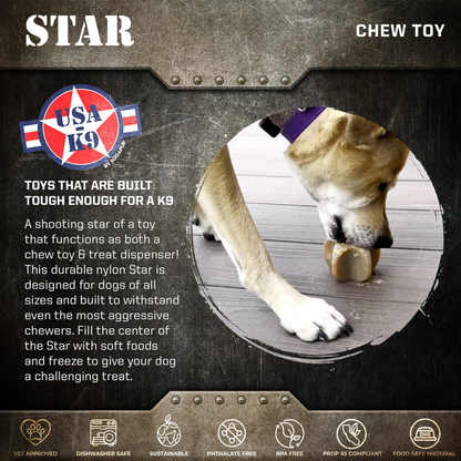 SodaPup Nylon Star Dog Chew & Enrichment Toy