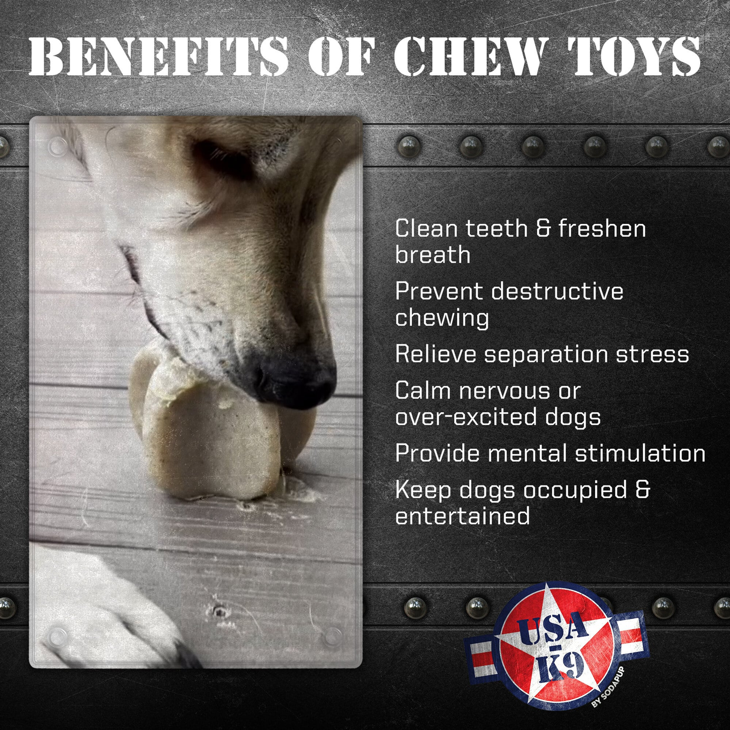 SodaPup Nylon Star Dog Chew & Enrichment Toy