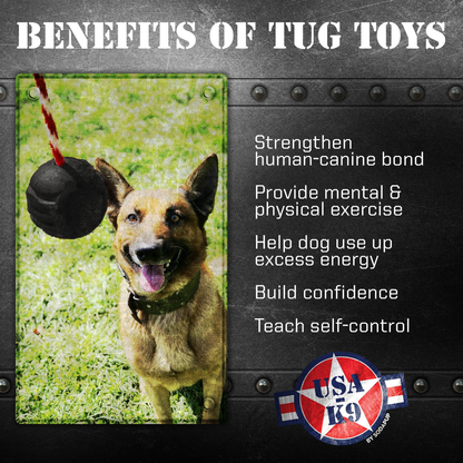 SodaPup USA-K9 Magnum Stars & Stripes Rubber Ball