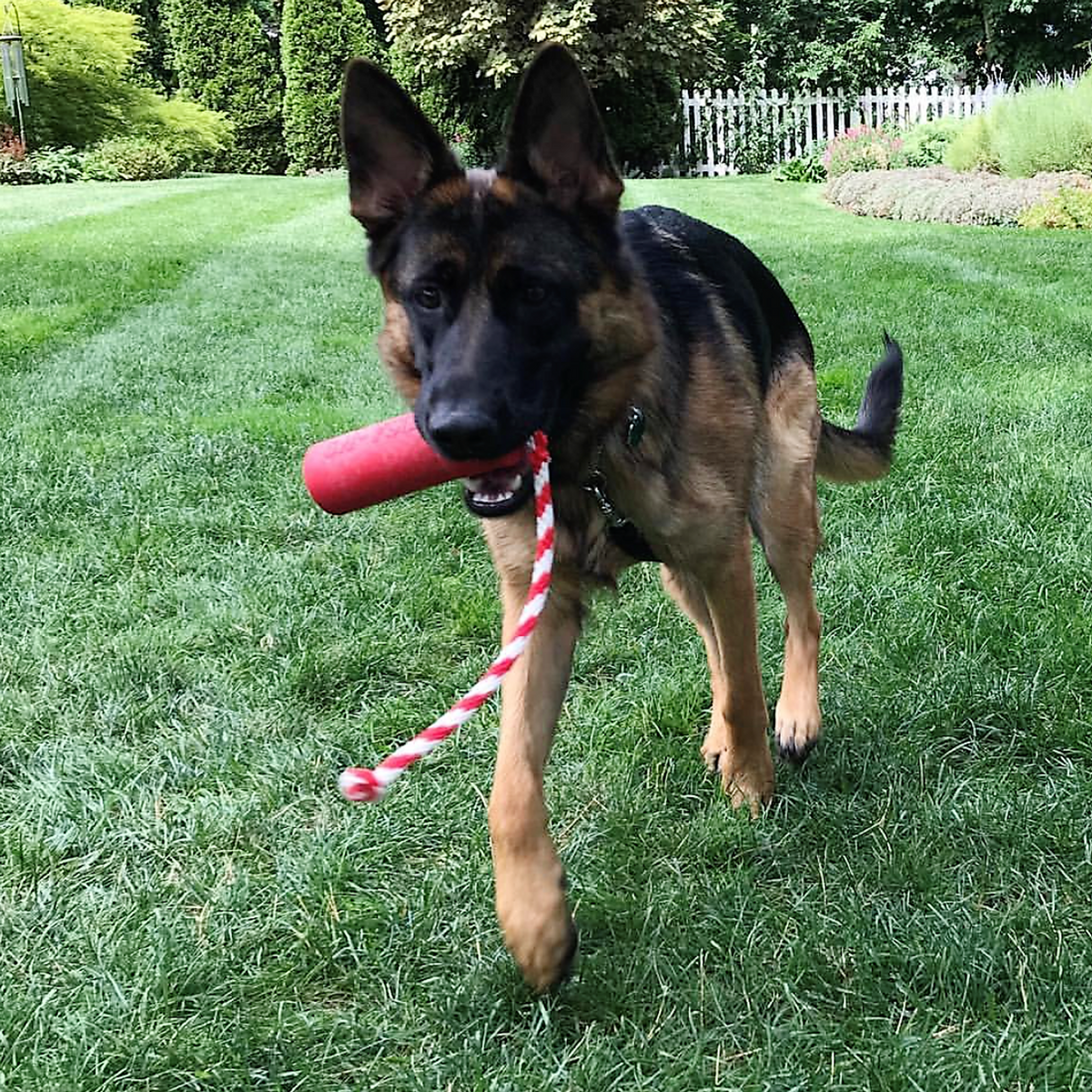 SodaPup USA-K9 Firecracker Floating Rubber Training Dummy