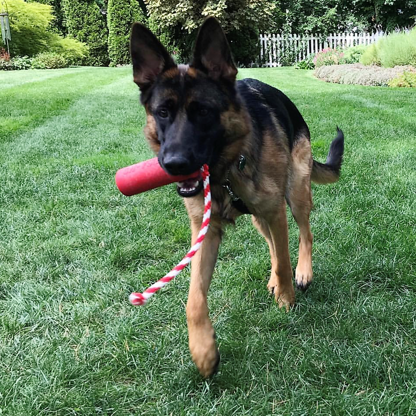 SodaPup USA-K9 Firecracker Floating Rubber Training Dummy
