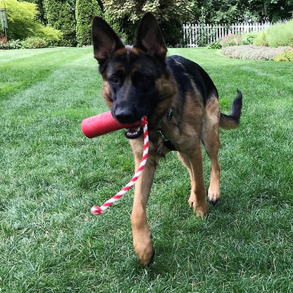 SodaPup USA-K9 Firecracker Floating Rubber Training Dummy