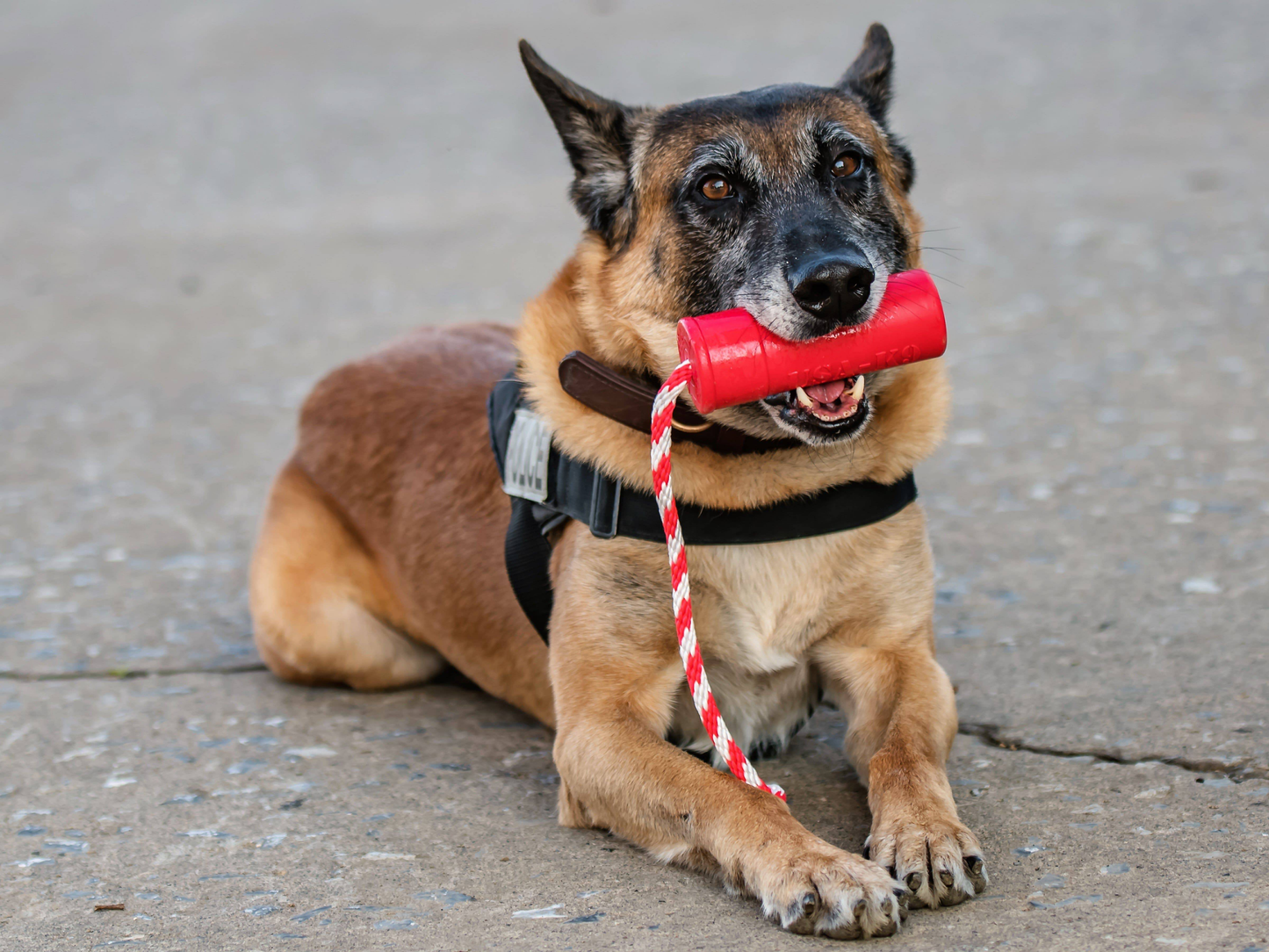 SodaPup USA-K9 Firecracker Floating Rubber Training Dummy