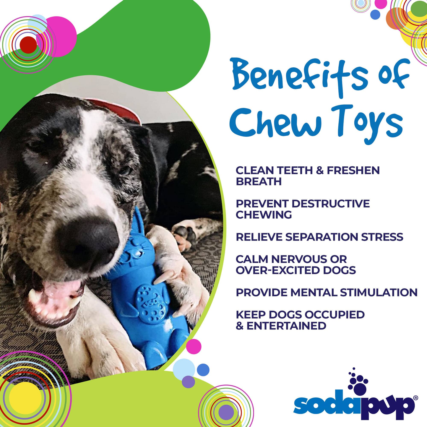 SodaPup Bunny Nylon Dog Chew Toy for Aggressive Chewers