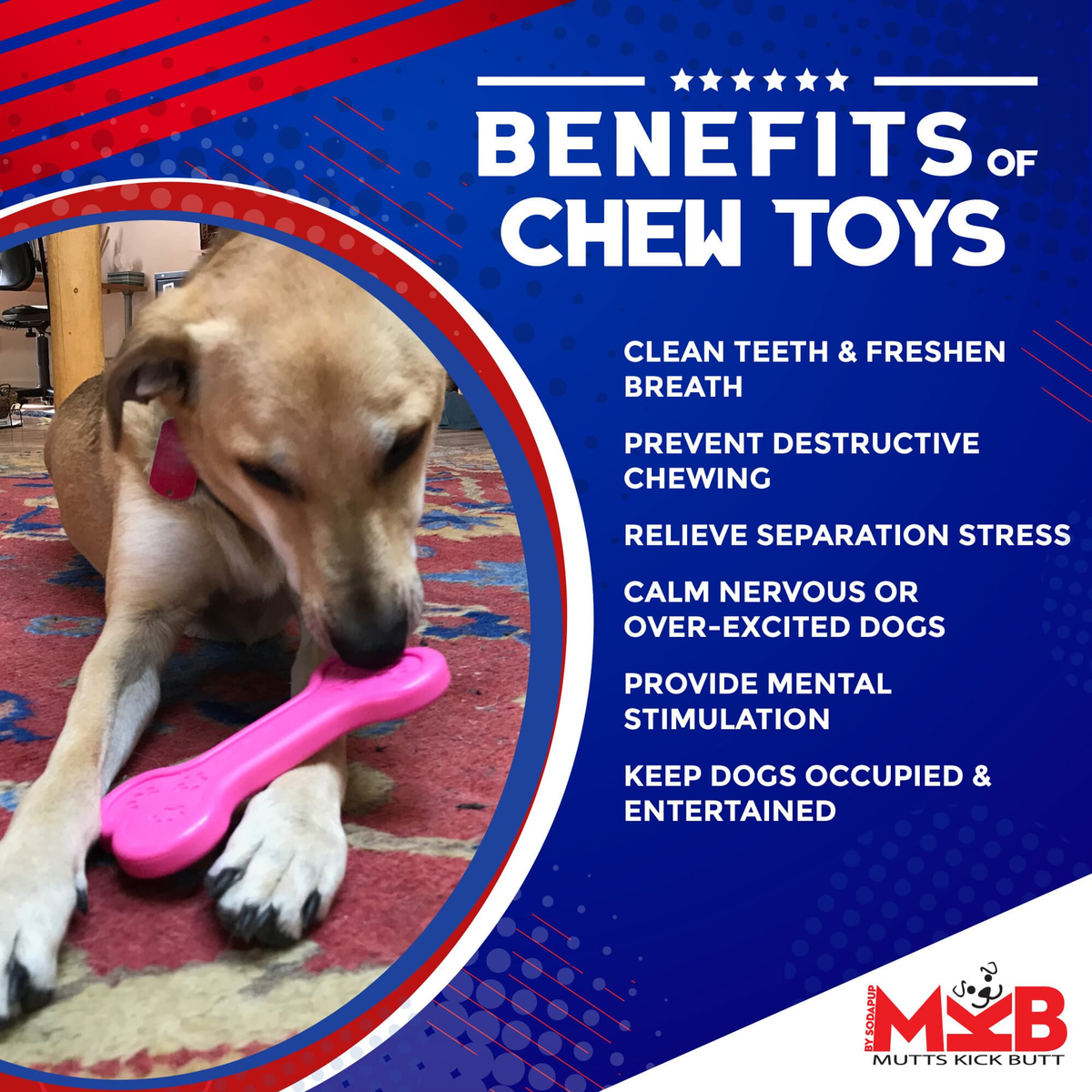 SodaPup MKB Bone Ultra-Durable Nylon Dog Chew Toy