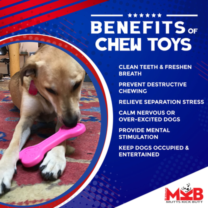 SodaPup MKB Bone Ultra-Durable Nylon Dog Chew Toy