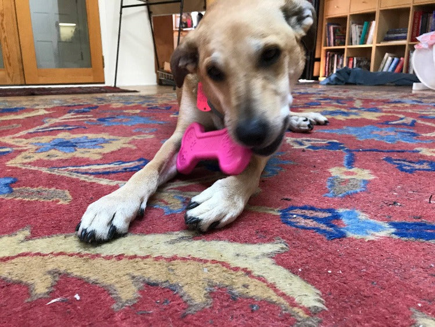 SodaPup MKB Bone Ultra-Durable Nylon Dog Chew Toy