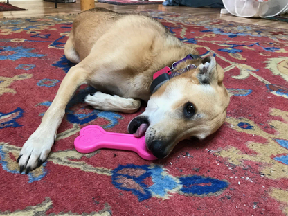 SodaPup MKB Bone Ultra-Durable Nylon Dog Chew Toy