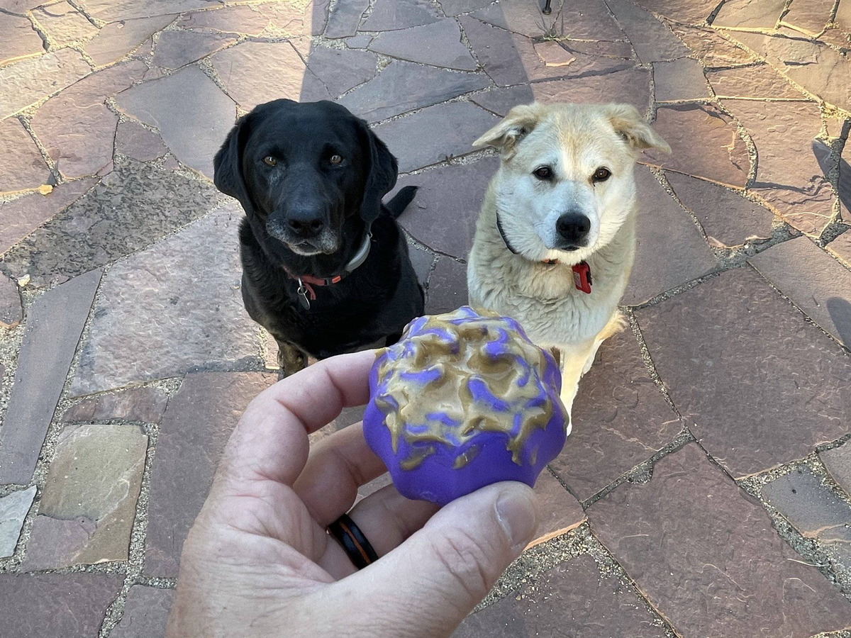 SodaPup Cross Bones Chew Toy and Treat Pocket