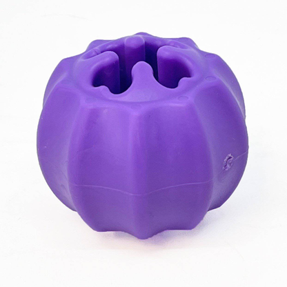 SodaPup Cross Bones Chew Toy and Treat Pocket