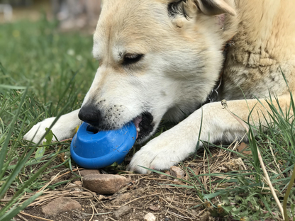 SodaPup Flying Saucer UFO Durable Chew & Treat Toy