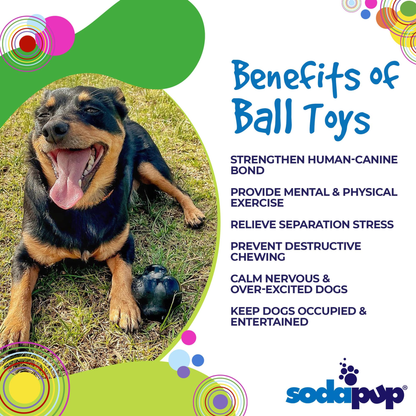 SodaPup Magnum Crazy Bounce Rubber Chew & Retrieving Toy