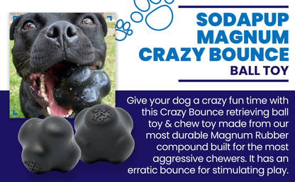 SodaPup Magnum Crazy Bounce Rubber Chew & Retrieving Toy