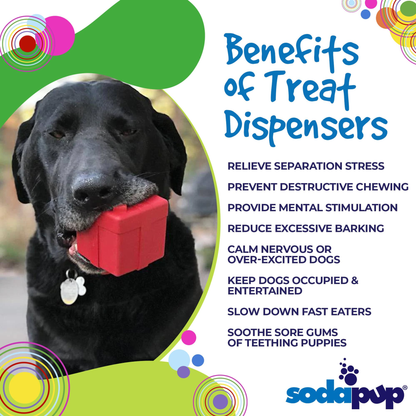 SodaPup Gift Box eDispenser Rubber Chew & Treat Toy