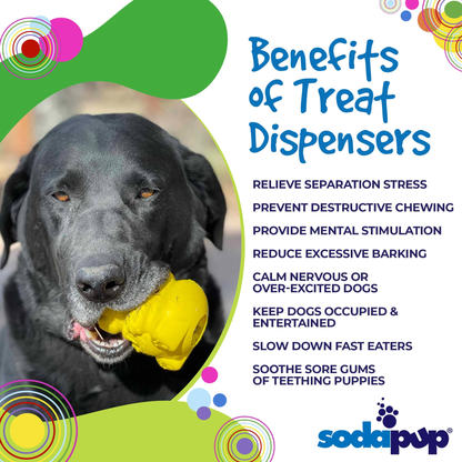 SodaPup Honey Bear eDispenser Rubber Treat Toy - Medium