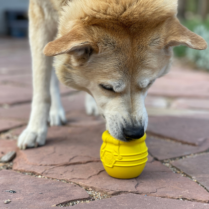 SodaPup Honey Pot Rubber Treat Dispenser & Enrichment Toy