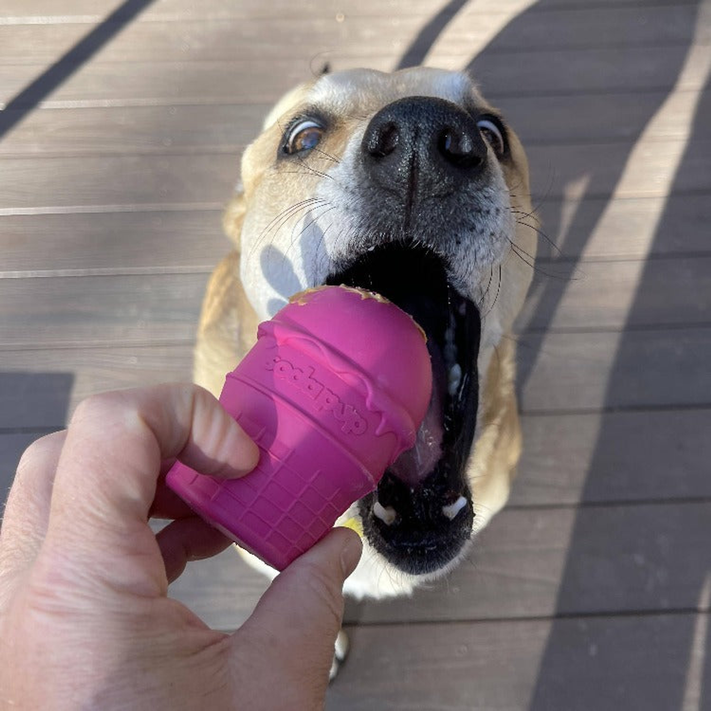 SodaPup Ice Cream Cone Rubber Chew Toy & Treat Dispenser