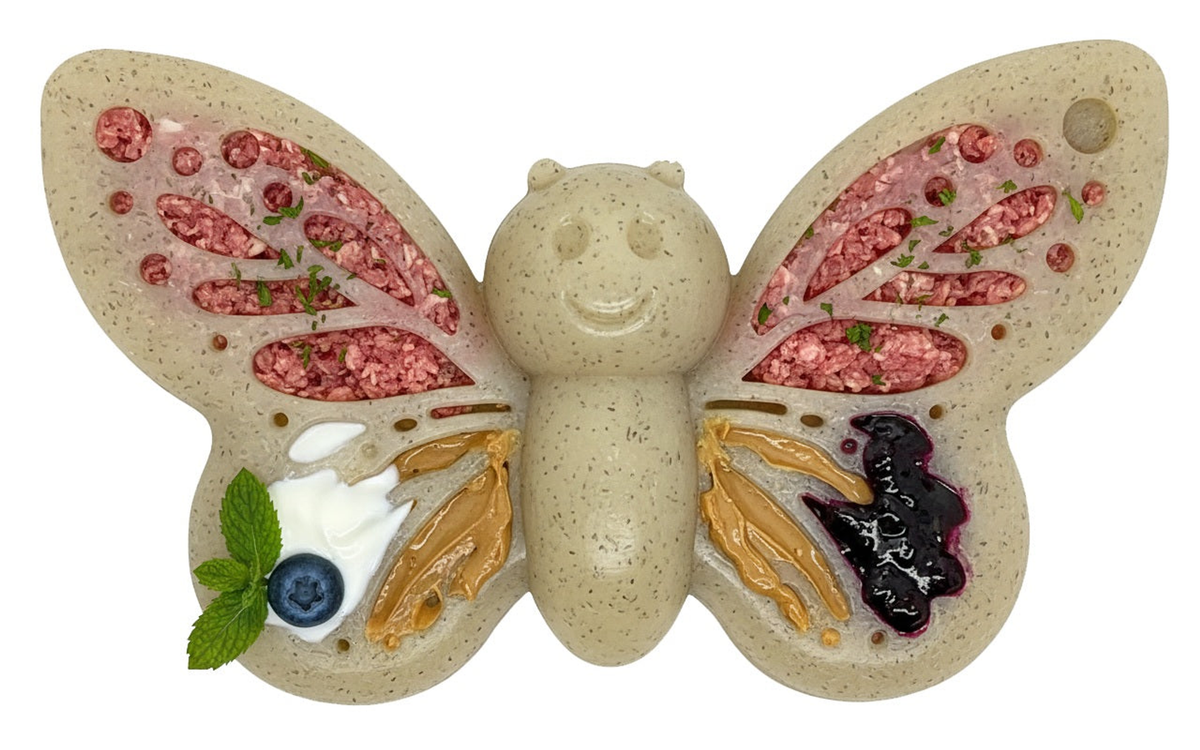 SodaPup Butterfly 2-in-1 Nylon Chew & Enrichment Toy