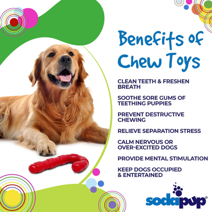 SodaPup Candy Cane Nylon Dog Chew Toy