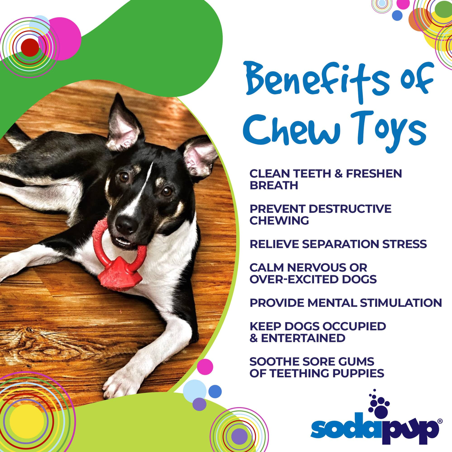 SodaPup Diamond Ring Nylon Teething Ring for Puppies