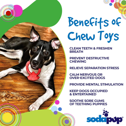 SodaPup Diamond Ring Nylon Teething Ring for Puppies