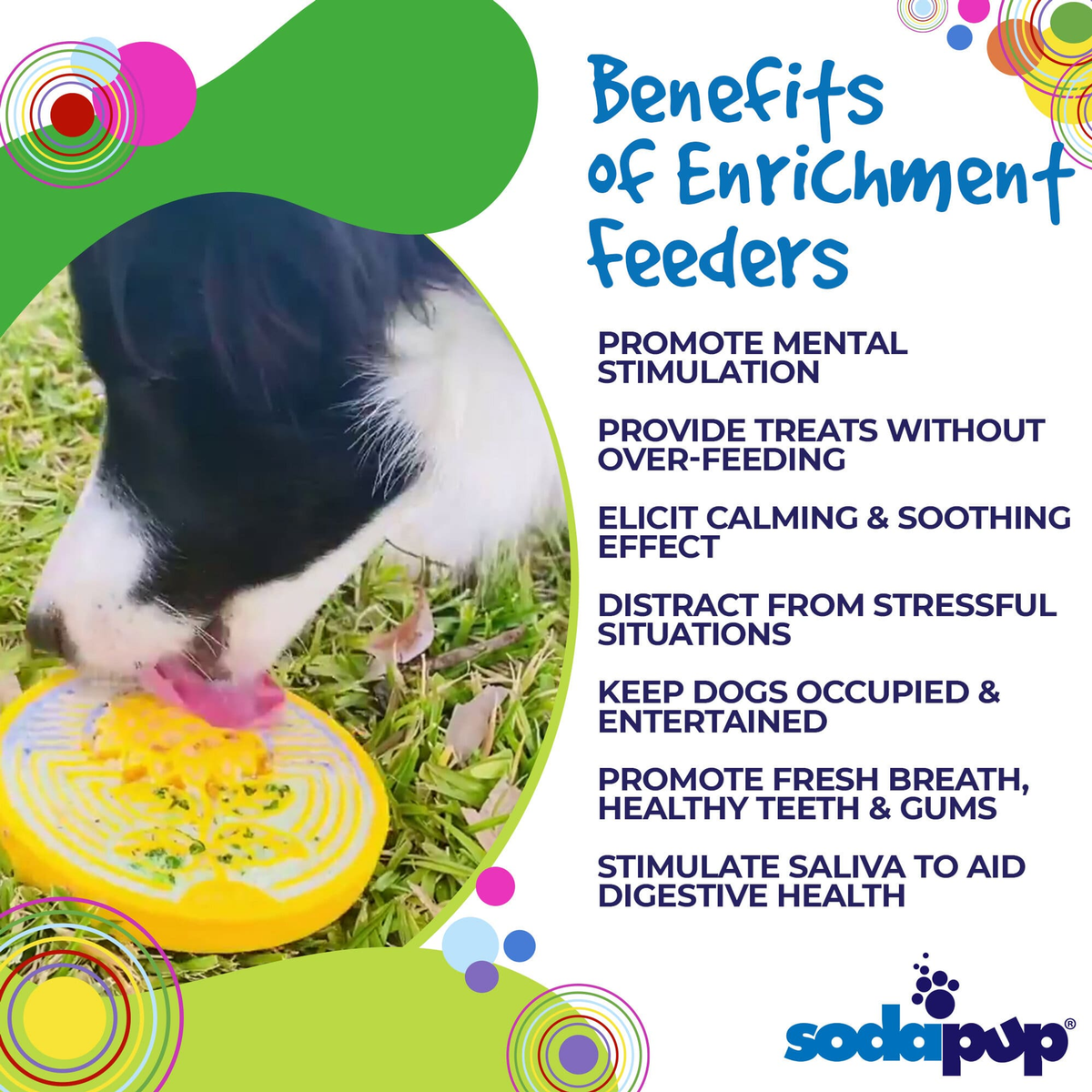 SodaPup Earth Nylon eCoin Enrichment Lick Mat Toy