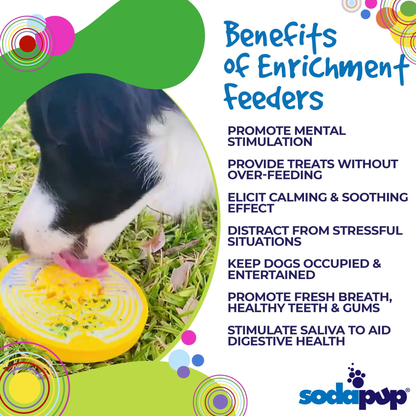 SodaPup Earth Nylon eCoin Enrichment Lick Mat Toy